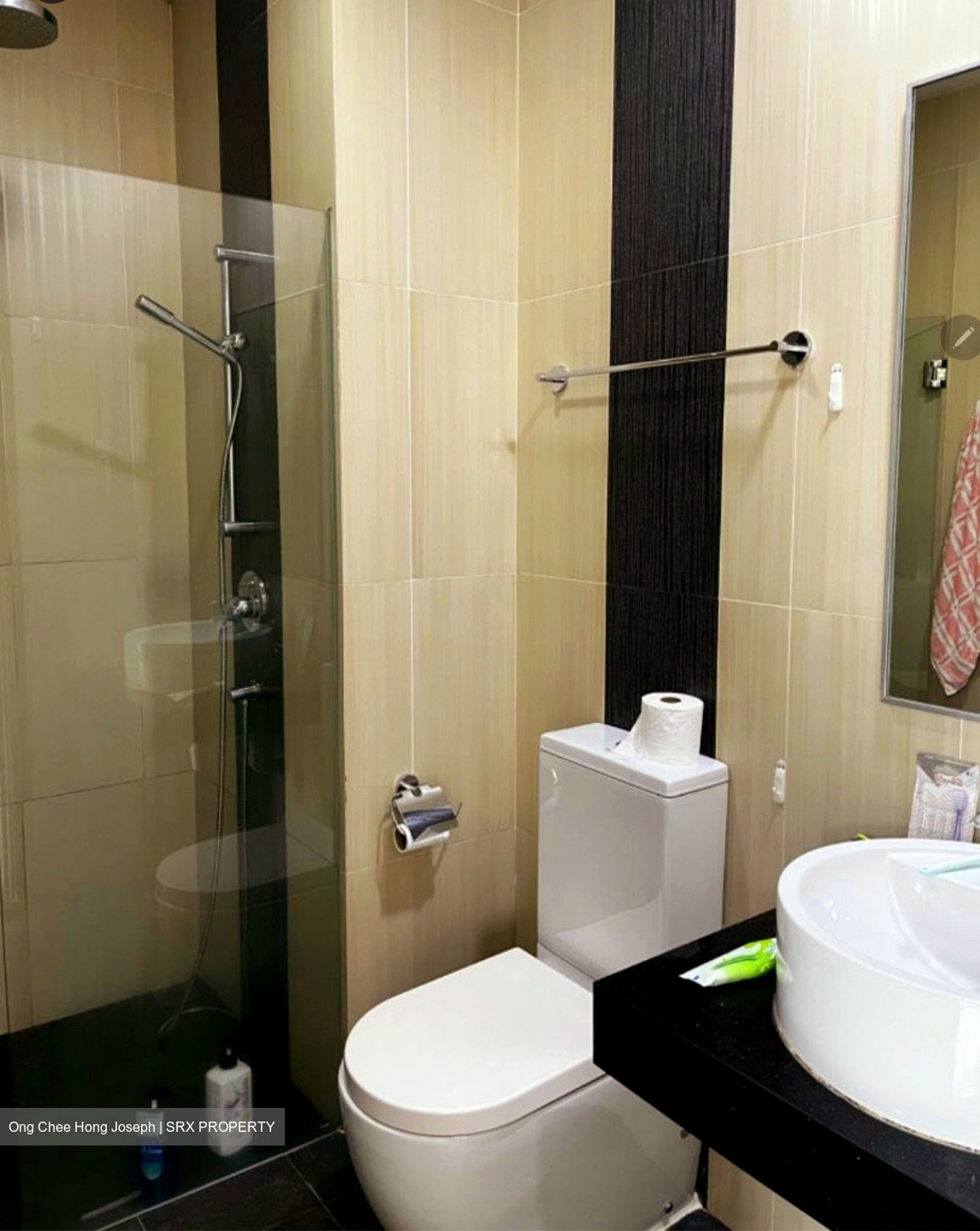 Cardiff Residence (D19), Condominium #561968591